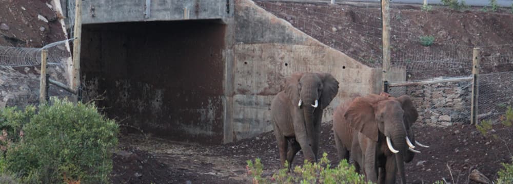Foto: Lewa Wildlife Conservancy Unterführung Nationalstrasse im Elefantenkorridor in Lewa.