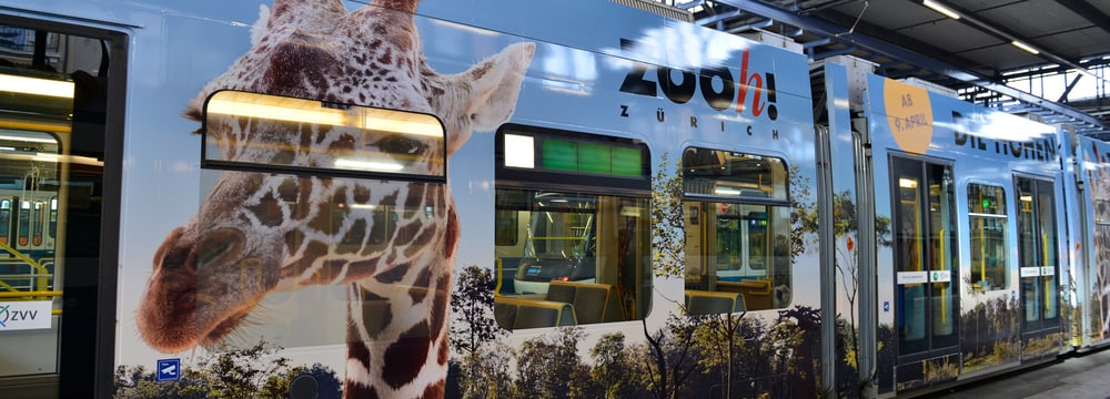 Zoo-Sondertram Lewa Savanne im VBZ-Depot.