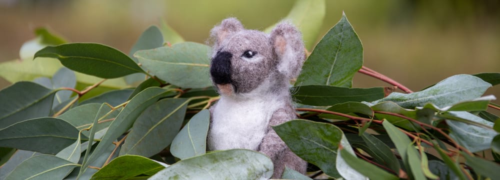 Foto: Zoo Zürich, Rita Schlegel Kursbild Koala filzen.