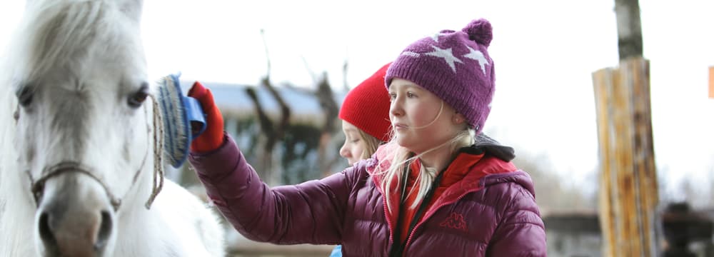 Projektwoche Kinder/Schüler im Zoo Zürich