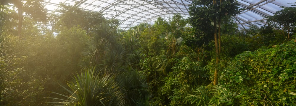 Foto: Zoo Zürich, Fabio Süess Masoala Regenwald im Zoo Zürich.