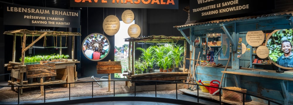 Exposition sur le projet de conservation Masoala. 