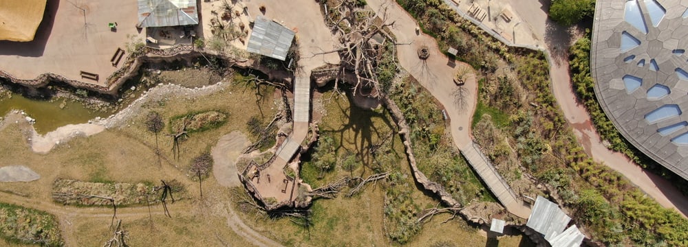 Foto: Zoo Zürich, Dominik Ryser Lewa Dorf im Zoo Zürich aus der Luft