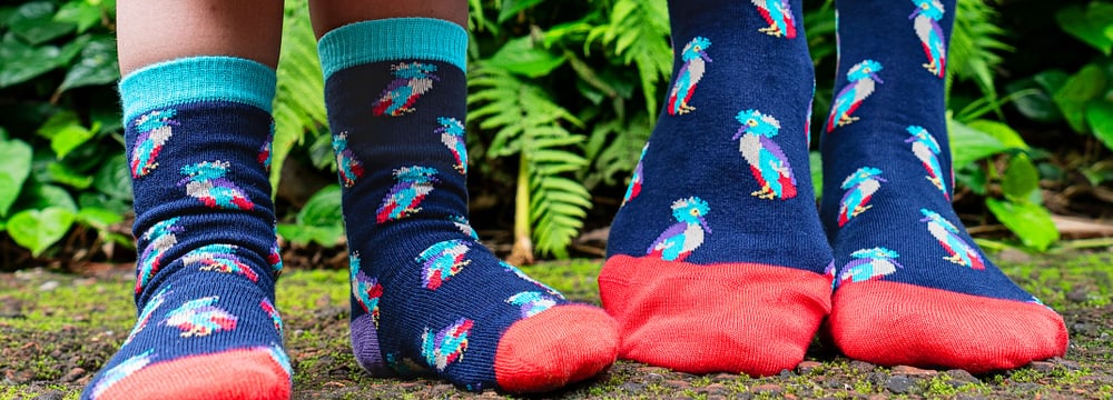 Foto: Dilly Socks Werbebild Dilly Socks im Masoala Regenwald.