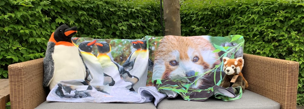 Foto: Zoo Zürich, Samantha Falivena Shoppromotion Juni 2024 zum Thema Badetücher.