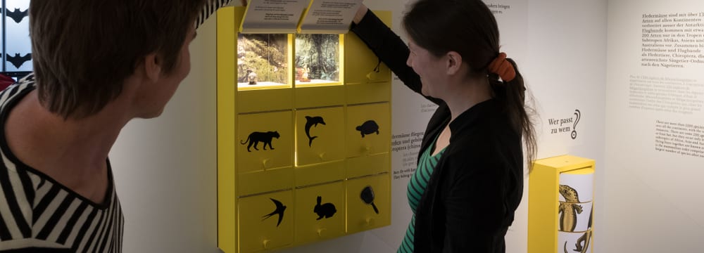 Info- und Ausbildungszentrum Fledermaus-Welt im Zoo Zürich