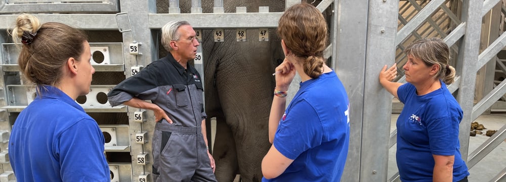 Tierarzt Jean-Michel Hatt und sein Team bei der Behandlung von Omysha im Hintergrund.  