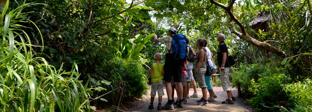 Foto: Zoo Zürich, Corinne Invernizzi Besucher im Masoala Regenwald im Zoo Zürich