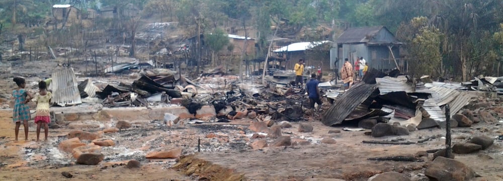 Foto: Madagascar Fauna and Flora Group Feuer in Ambodirafia