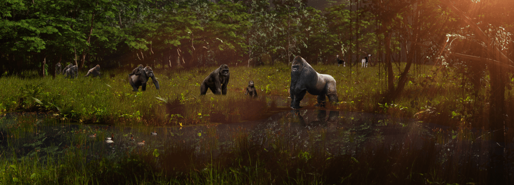Photo: Zoo Zürich, Region Five Media Depiction of the Congo at Zoo Zurich