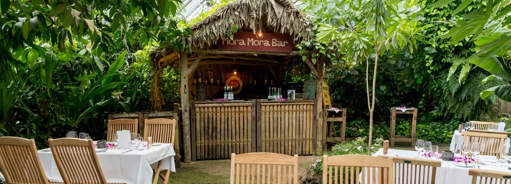 Mora-Mora Bar im Zoo Zürich