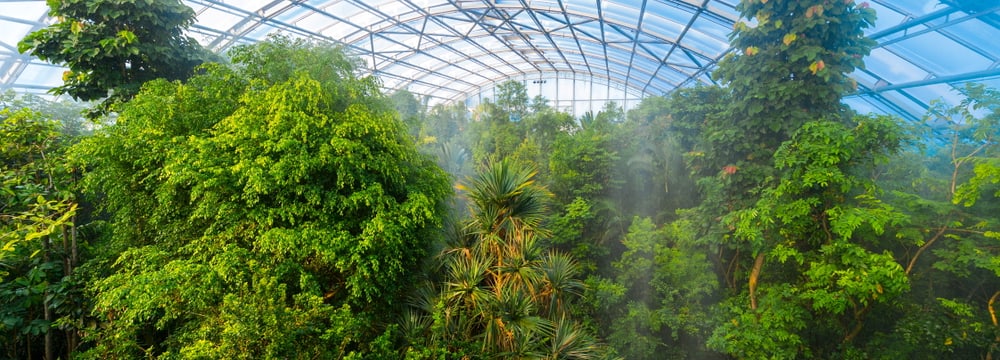 Masoala Regenwald im Zoo Zürich