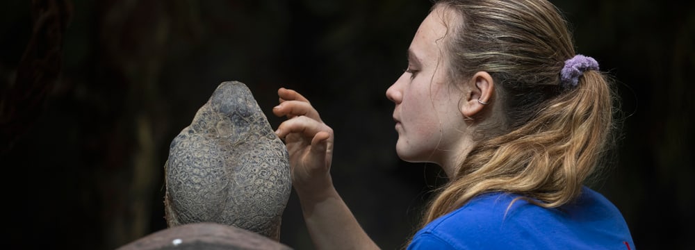 Tierpflegerin mit Galapagos-Riesenschildkröten im Zoo Zürich