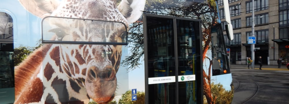 Foto: Zoo Zürich, Martin Bratteler Zoo-Sondertram Lewa Savanne am Bellevue.
