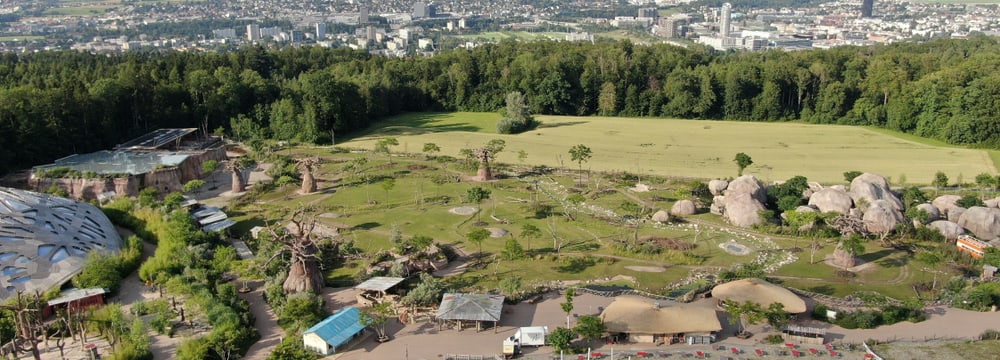 Die Lewa Savanne im Zoo Zürich aus der Vogelperspektive. 
