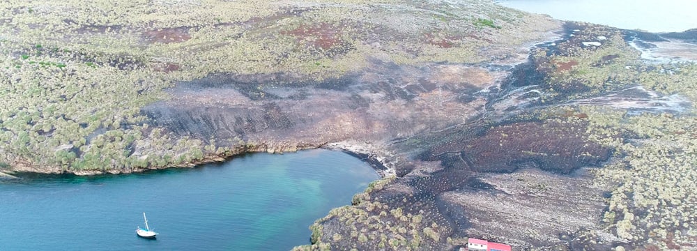 Hummock Island Naturschutz