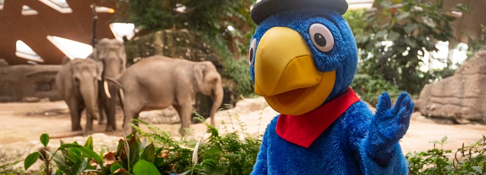 Globi-Figur besucht Zoo Zürich.