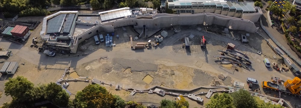 Luftaufnahme der Baustelle für die Pantanal Voliere im August 2025. 