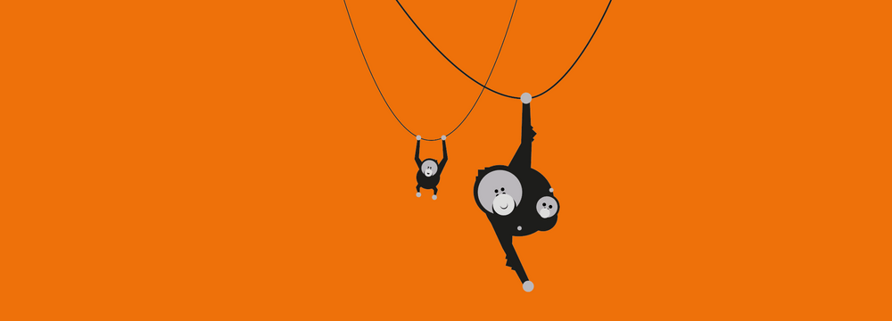 Visualisierung: On Visual On Zoo Run 2019.