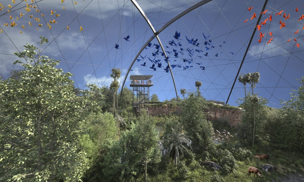 Rendering der geplanten Pantanal Voliere im Zoo Zürich, Blick auf den Aussichtsturm.