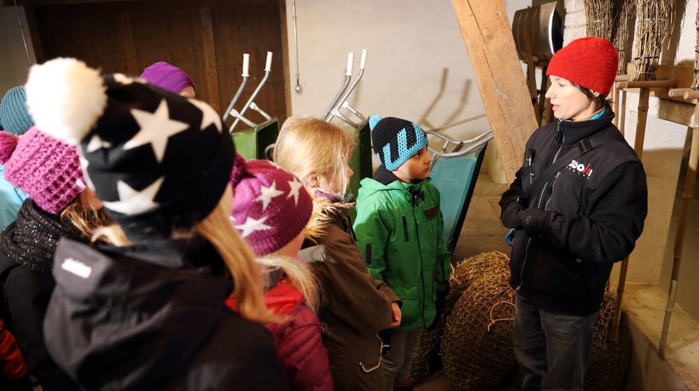 Projektwoche Kinder/Schüler im Zoo Zürich