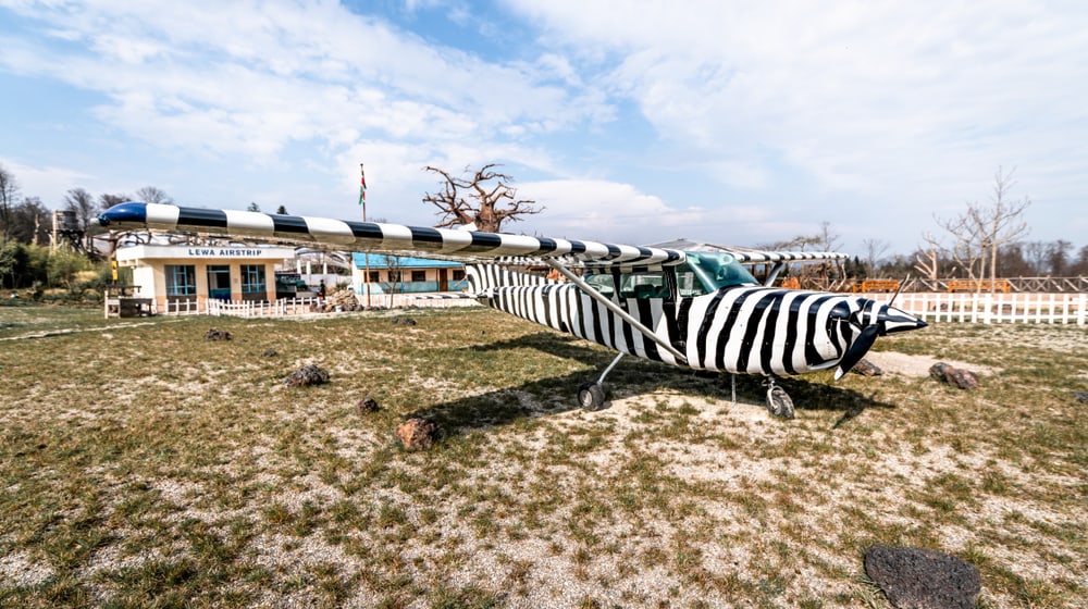 Serengeti-Zebraflugzeug auf dem Lewa Airstrip in der Lewa Savanne im Zoo Zürich.