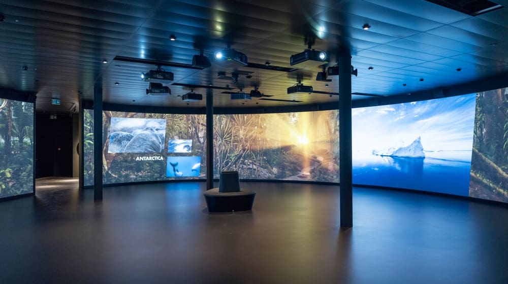 360° cinema in the Centre of nature conservation of Zoo Zurich.