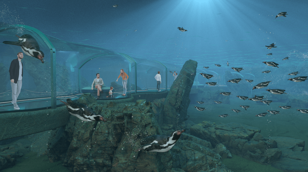 Rendering der Meeresküste Unterwasser im Zoo Zürich