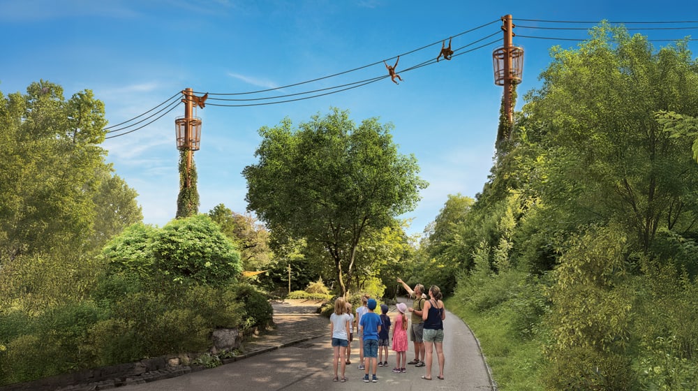 Rendu du sentier des orangs-outans prévu au zoo de Zurich.
