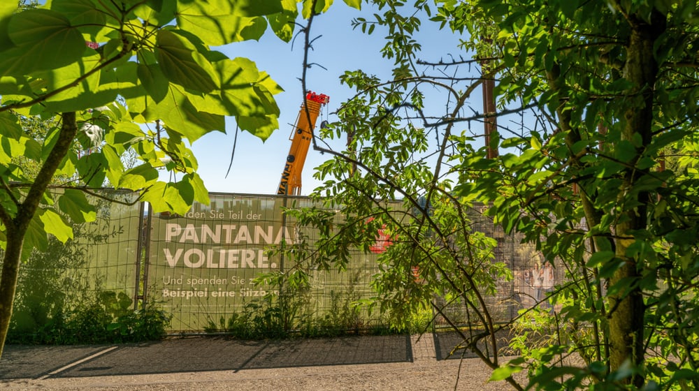 Baustelle Pantanal Feuchtgebiet