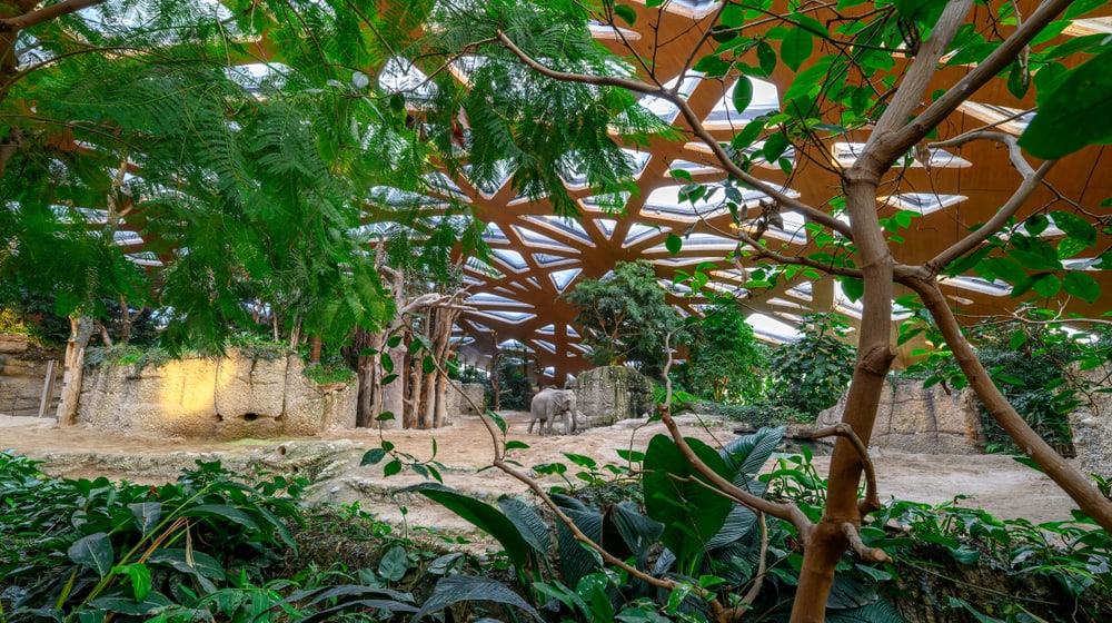 Kaeng Krachan Elefantenpark im Zoo Zürich, Januar 2024.