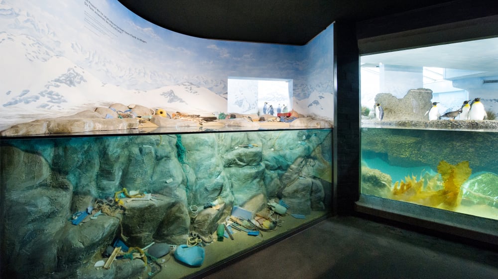 Ausstellung Meeresverschmutzung im Aquarium des Zoo Zürich.