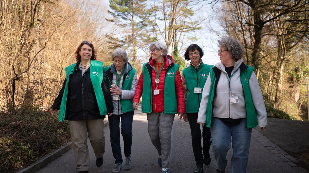 Mitglieder des Freiwilligenteams FTZ im Zoo Zürich.