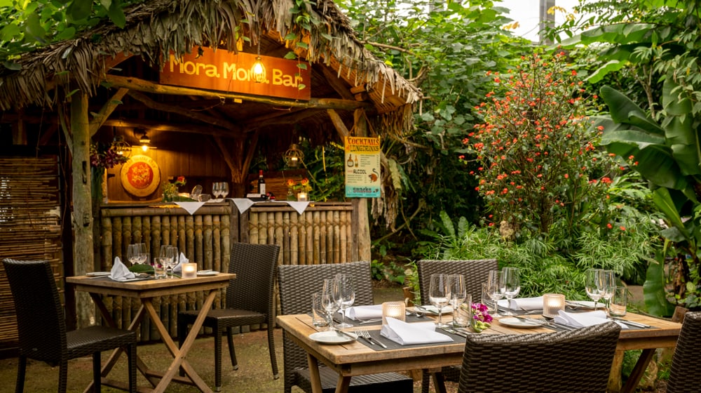 Mora-Mora Bar im Masoala Regenwald des Zoo Zürich.