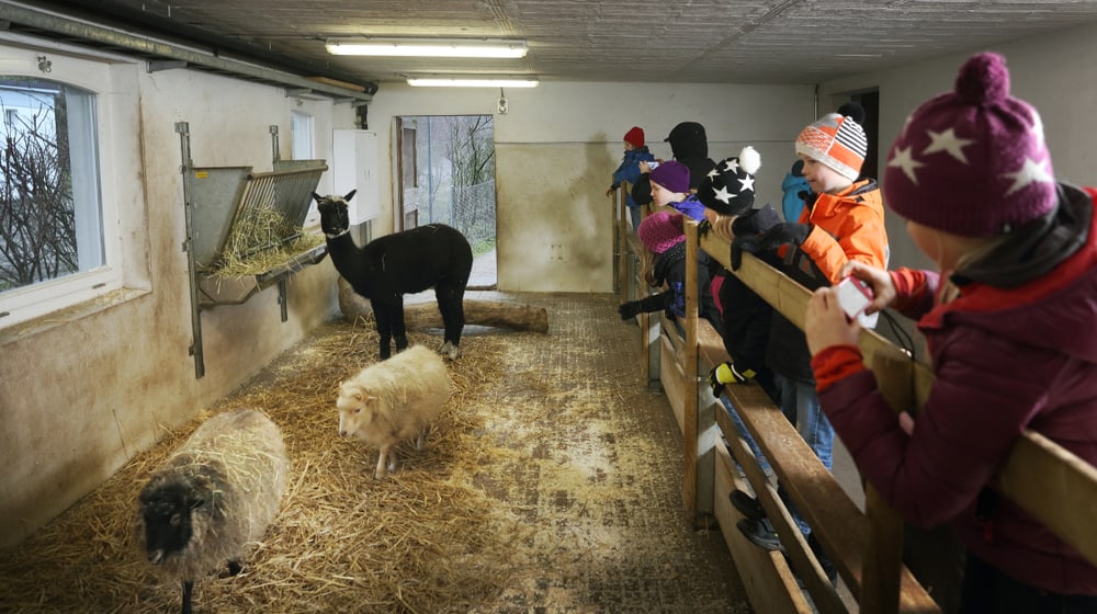 Ferienangebote Für Kinder In Der Nähe Ferienangebote für Kinder | Zoo Zürich