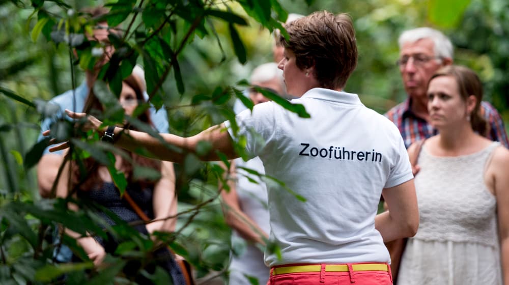 Führung im Zoo Zürich.
