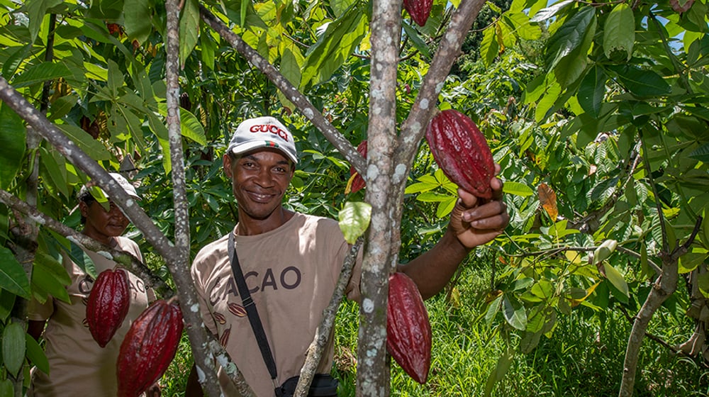 Kakao Madagaskar