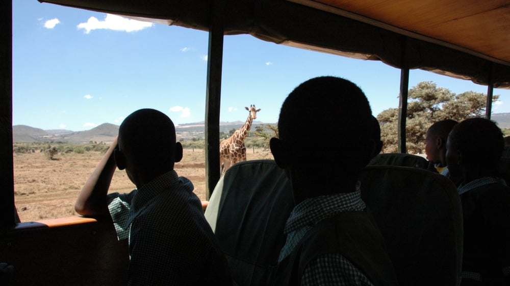 Umweltbildung im Lewa Wildlife Conservancy in Kenia.