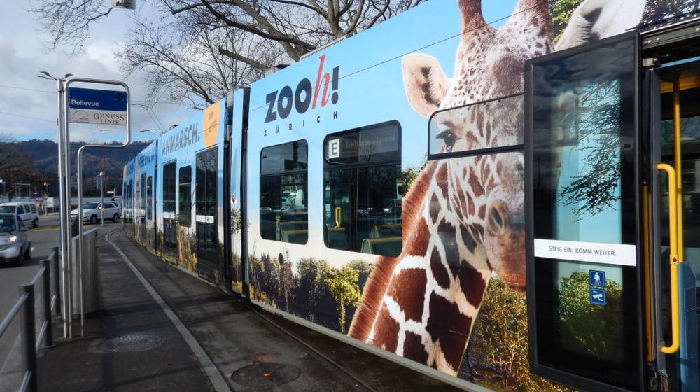 Zoo Tram Lewa