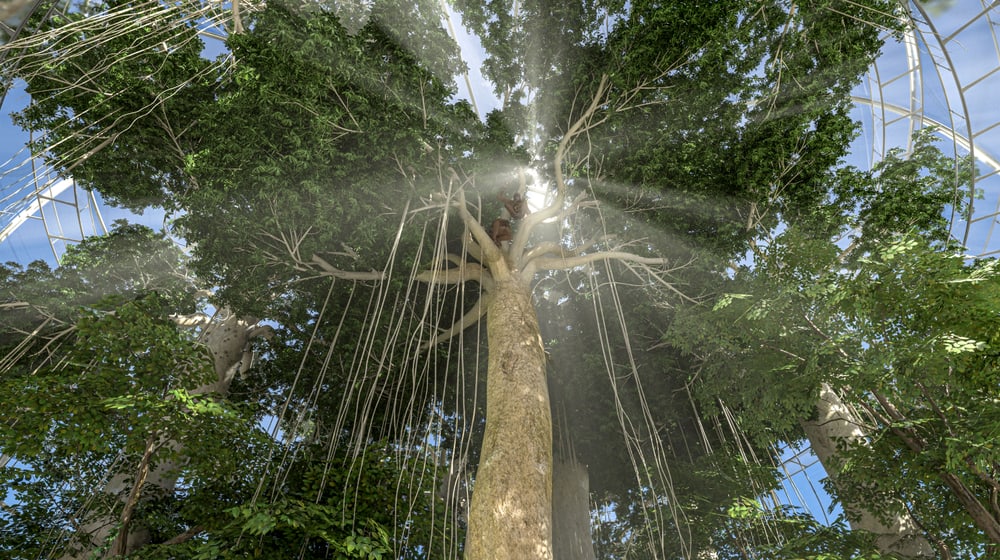 Visualisation de la forêt tropicale de Sumatra dans le plan de développement 2050 du zoo de Zurich.
