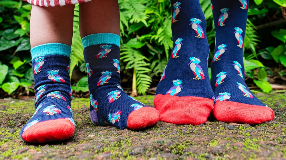 Werbebild Dilly Socks im Masoala Regenwald.