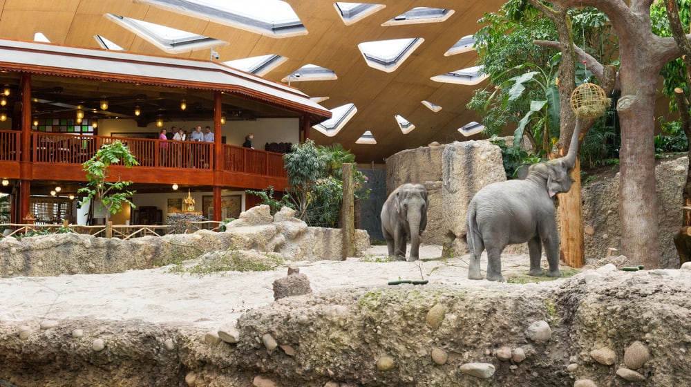 Thailodge im Kaeng Krachan Elefantenpark im Zoo Zürich