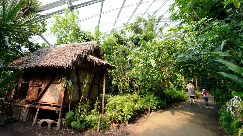 Betsimisaraka-Haus im Masoala Regenwald