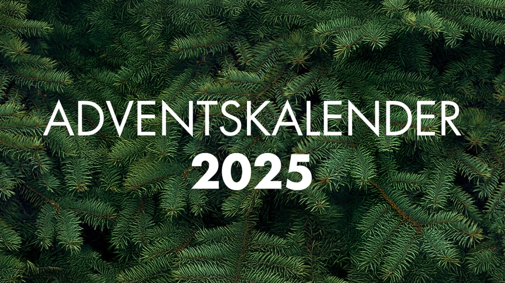 Visual für den Video-Adventskalender 2025 des Zoo Zürich.