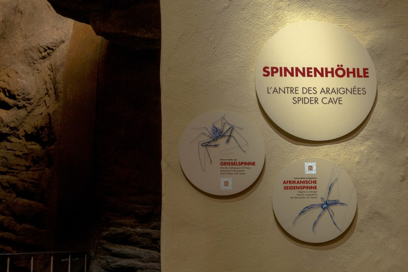 Entrance to the spider cave in the Insect Forest at Zoo Zurich, March 2025