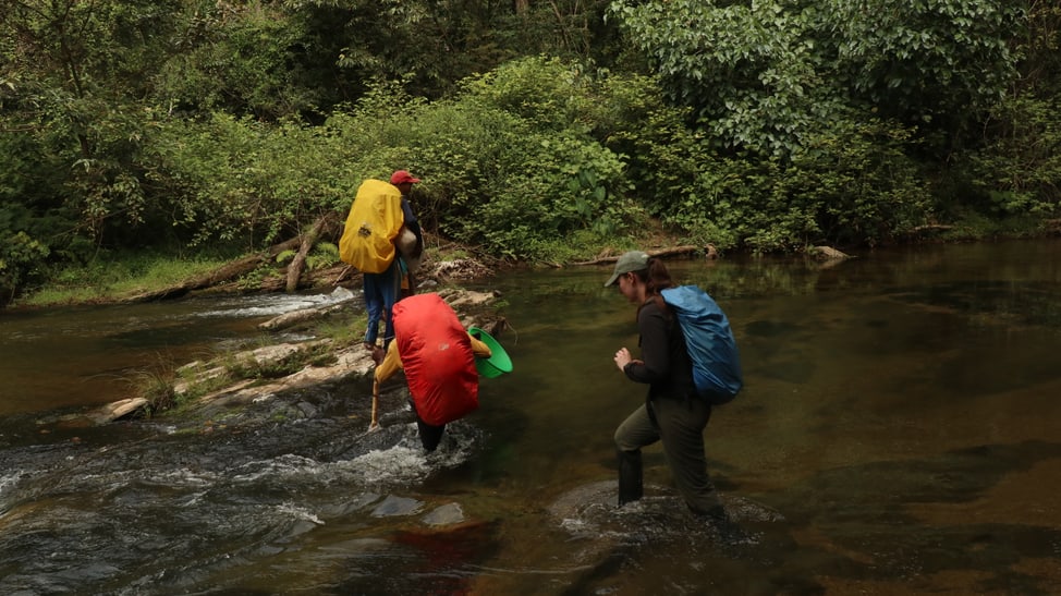 Wanderung zum Lager im Makira Naturpark