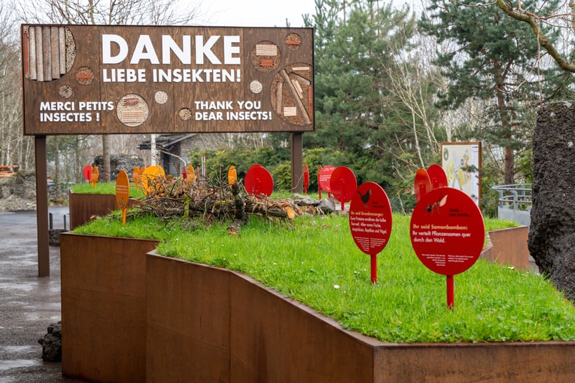 Photo of the outdoor area of the Insect Forest at Zoo Zurich.