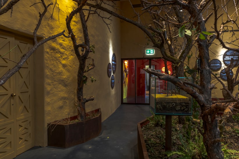 View of the Insect Forest at Zoo Zurich, March 2025.