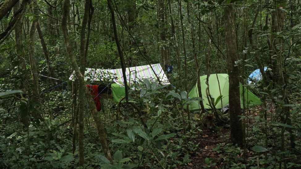 Zelte im Regenwald