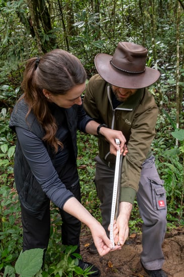 Compsophis vinckei wird im Makira Naturpark fotografiert und vermessen